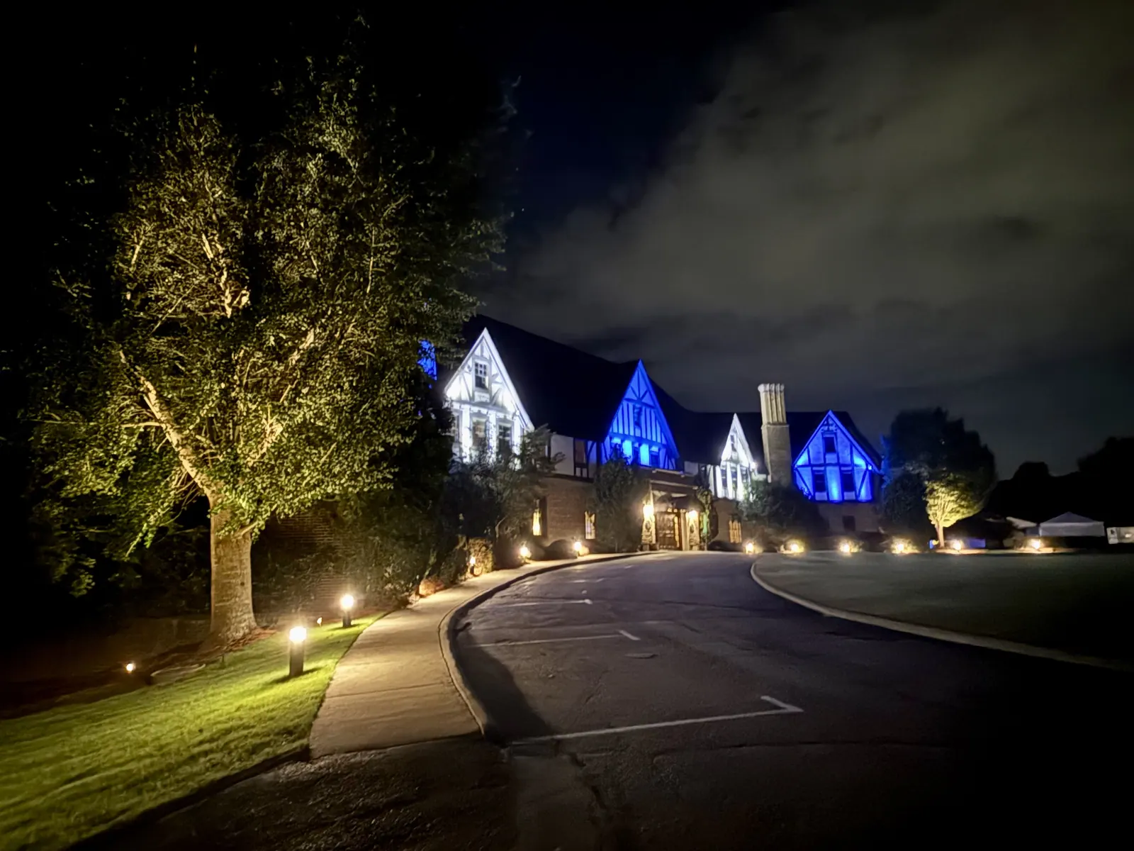 Custom landscape lighting